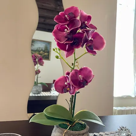 Apartment Amazing Como